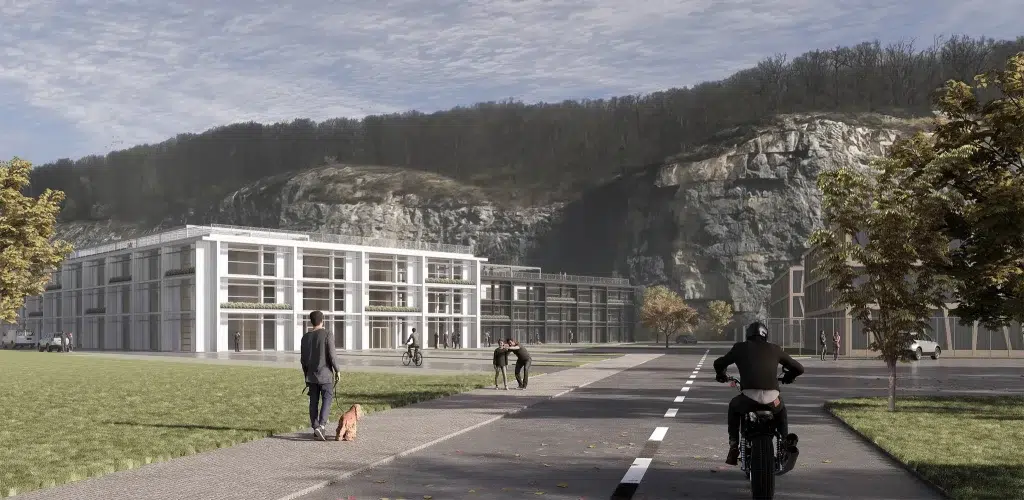 public institutional